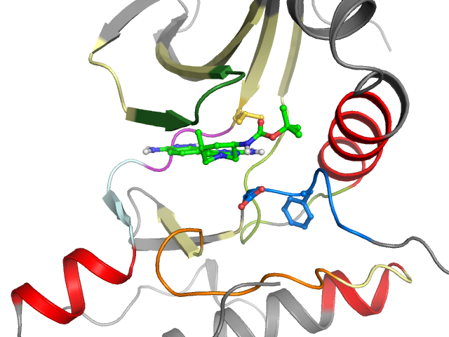 The orthosteric binding pocket