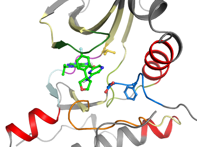 The orthosteric binding pocket