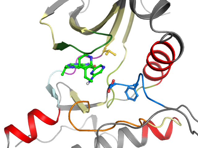 The orthosteric binding pocket