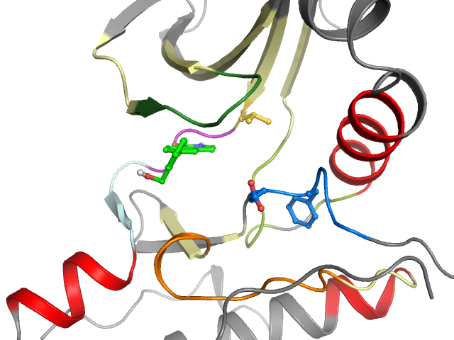 The orthosteric binding pocket