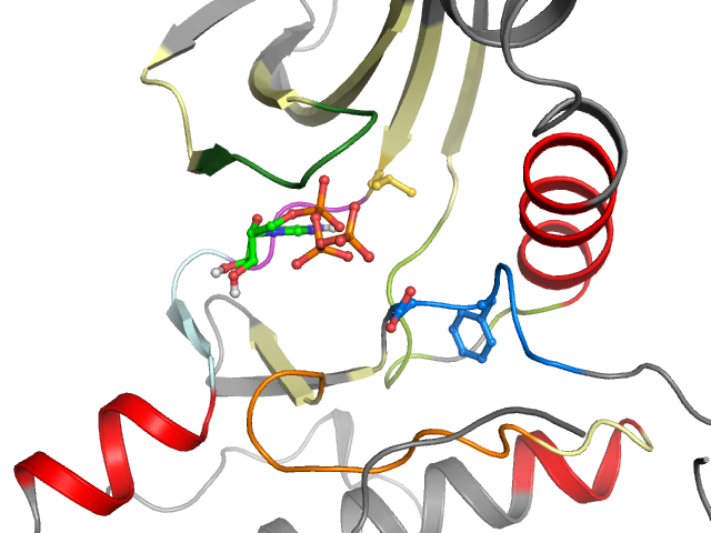 The orthosteric binding pocket