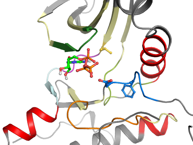 The orthosteric binding pocket