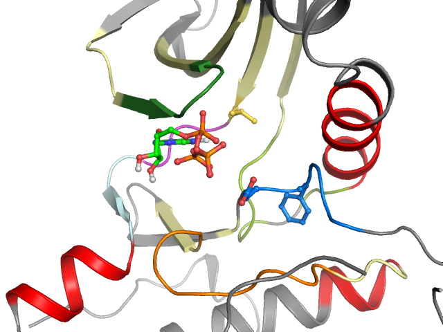The orthosteric binding pocket