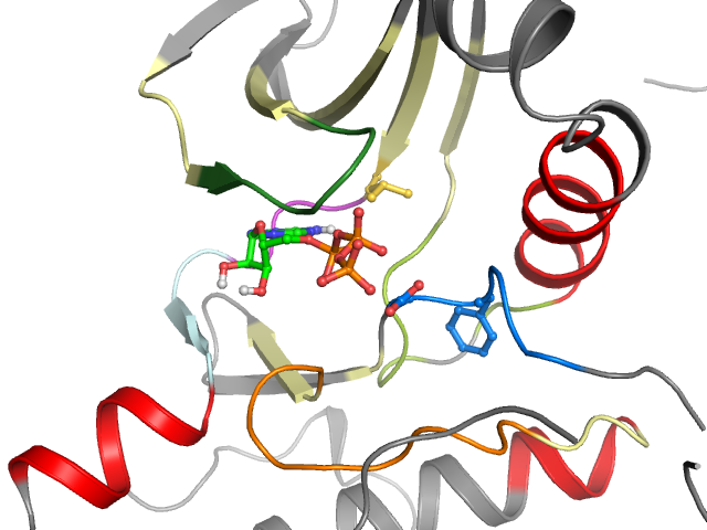 The orthosteric binding pocket