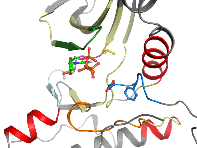 The orthosteric binding pocket
