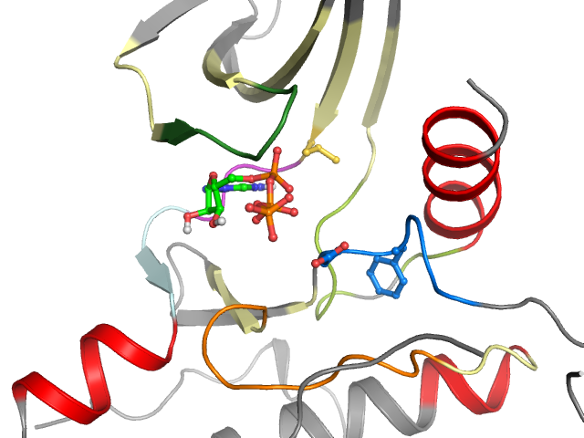 The orthosteric binding pocket