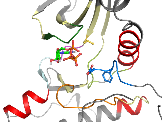 The orthosteric binding pocket