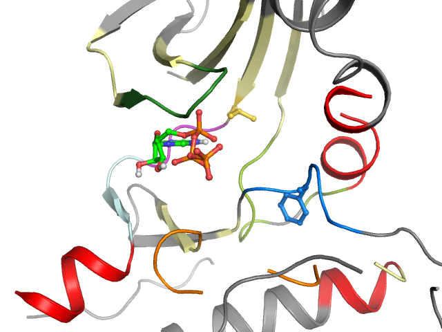 The orthosteric binding pocket