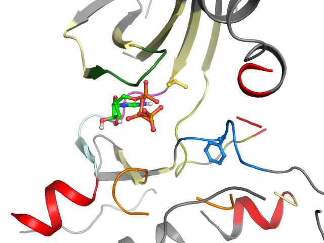 The orthosteric binding pocket