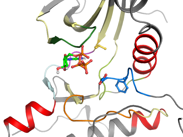 The orthosteric binding pocket