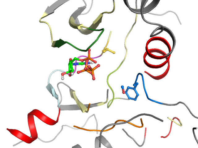 The orthosteric binding pocket