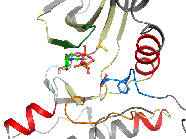 The orthosteric binding pocket