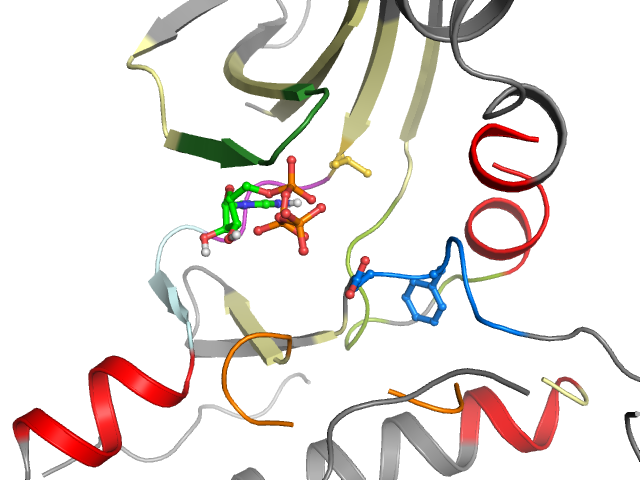 The orthosteric binding pocket