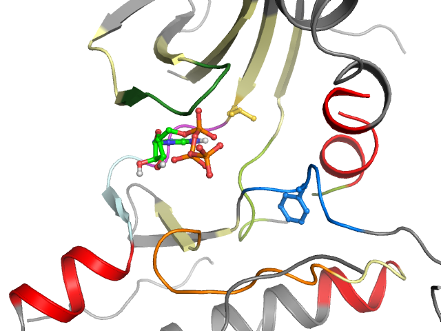 The orthosteric binding pocket