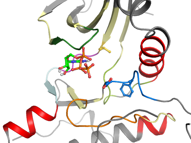 The orthosteric binding pocket