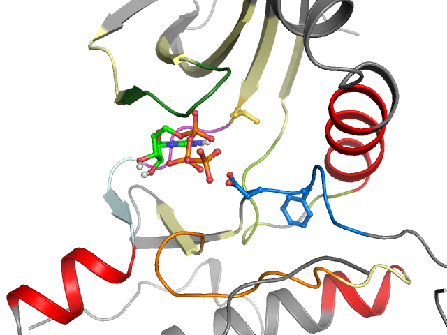 The orthosteric binding pocket