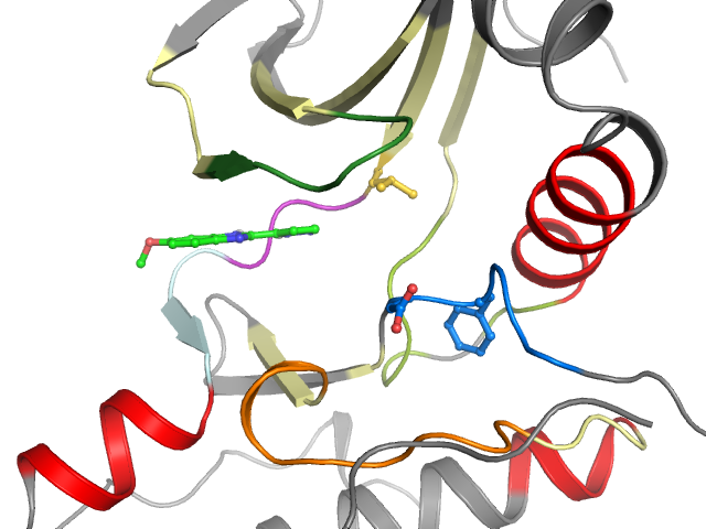 The orthosteric binding pocket