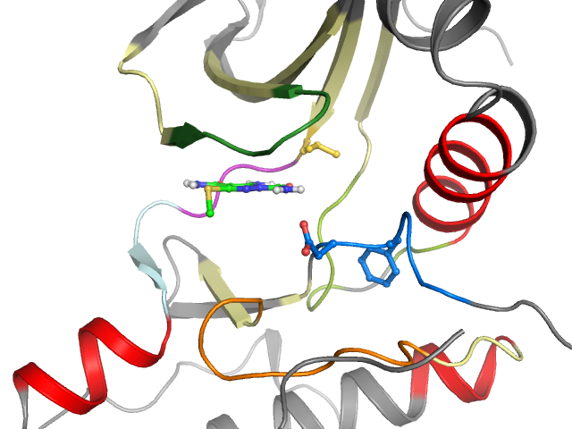 The orthosteric binding pocket