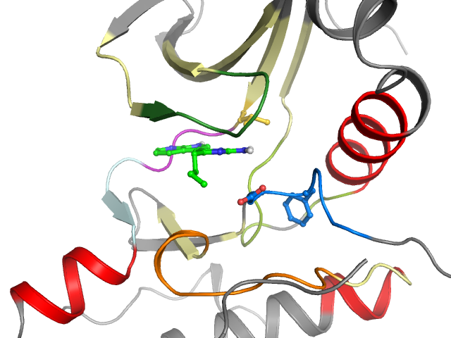 The orthosteric binding pocket