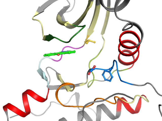 The orthosteric binding pocket