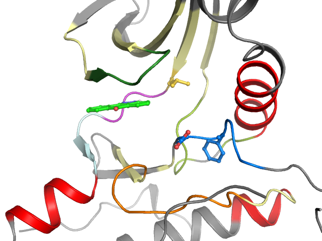 The orthosteric binding pocket