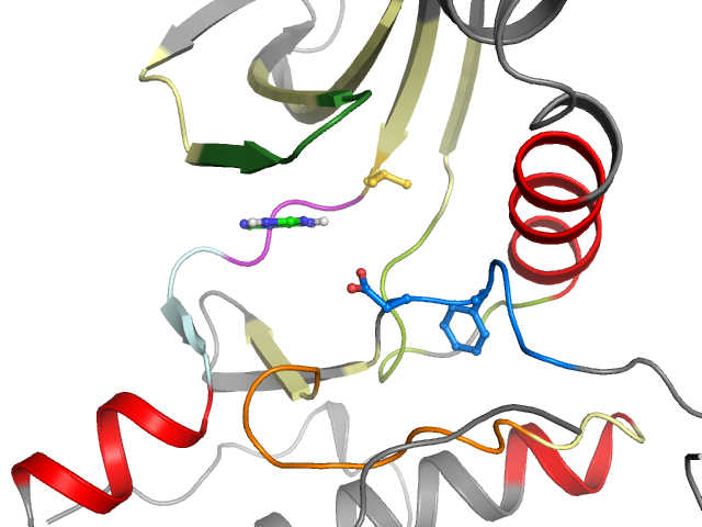 The orthosteric binding pocket