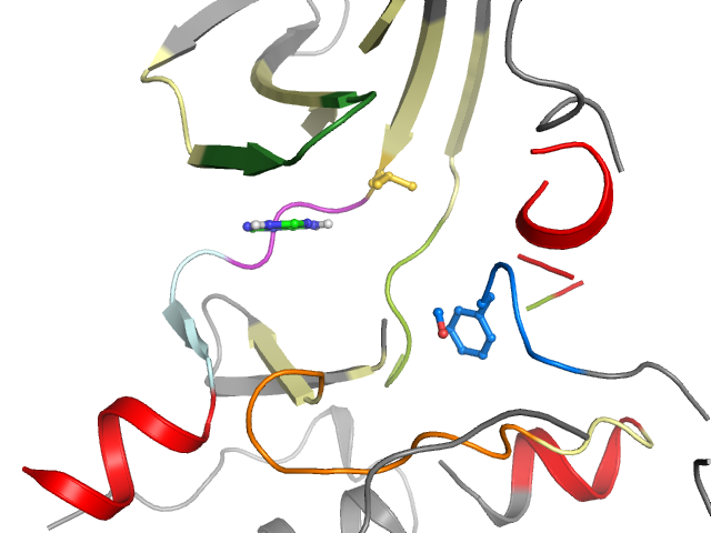 The orthosteric binding pocket