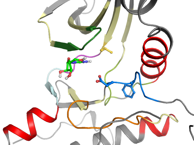The orthosteric binding pocket