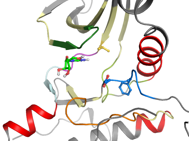 The orthosteric binding pocket