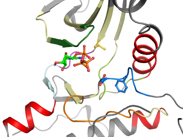 The orthosteric binding pocket