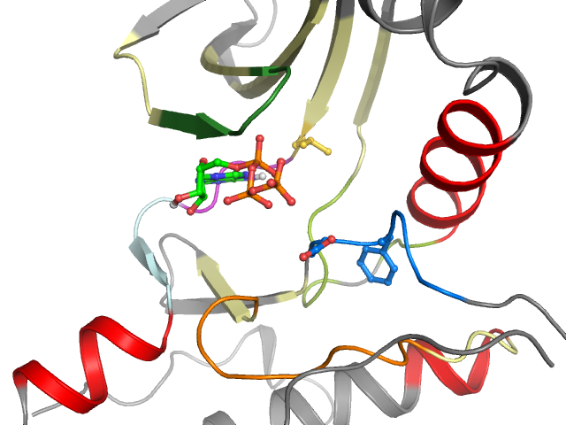 The orthosteric binding pocket