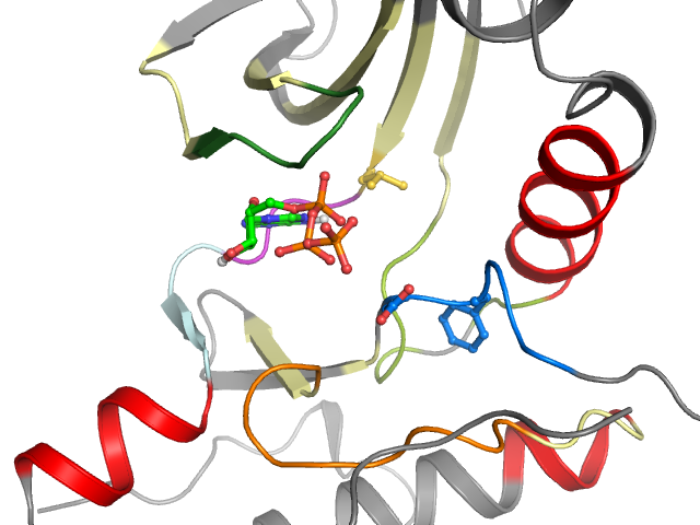 The orthosteric binding pocket