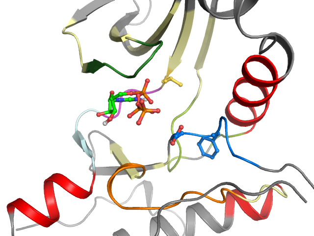 The orthosteric binding pocket