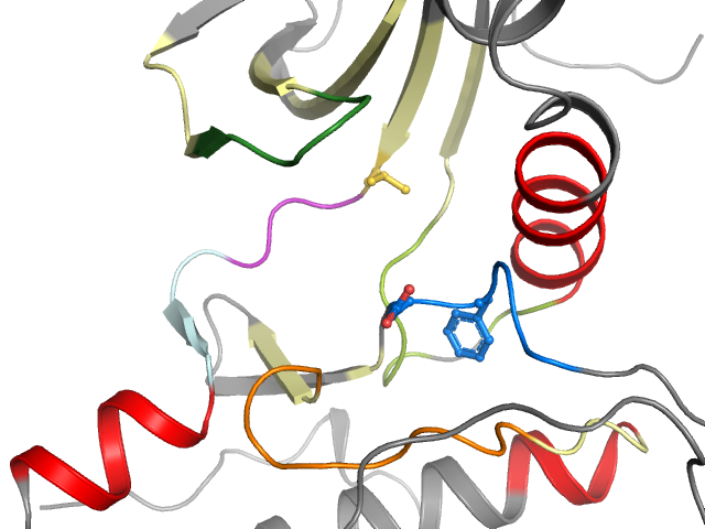 The orthosteric binding pocket