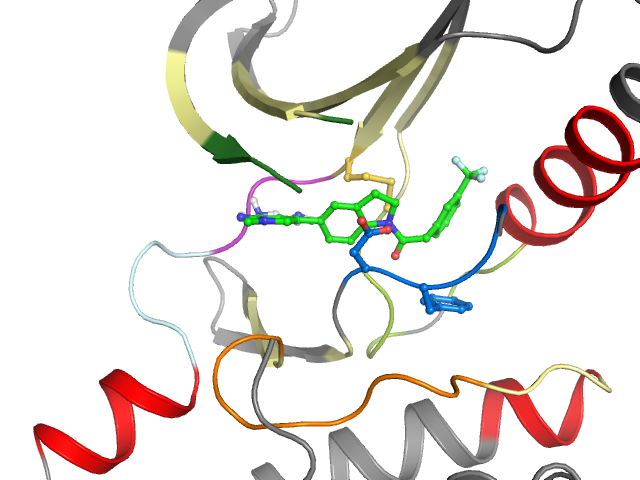 The orthosteric binding pocket