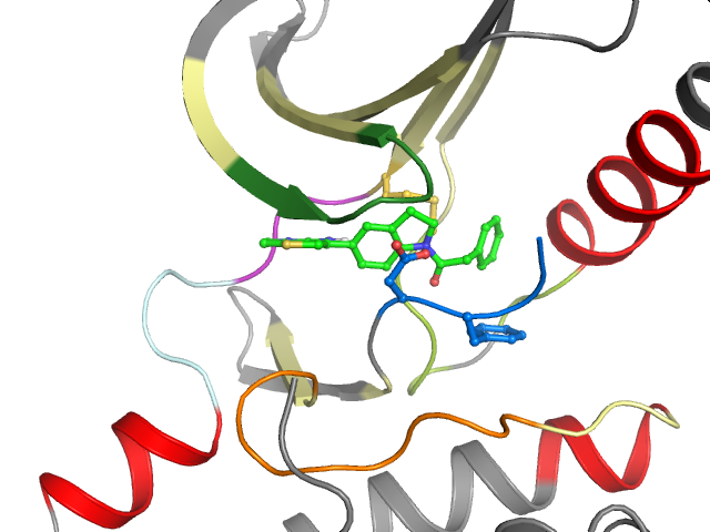 The orthosteric binding pocket