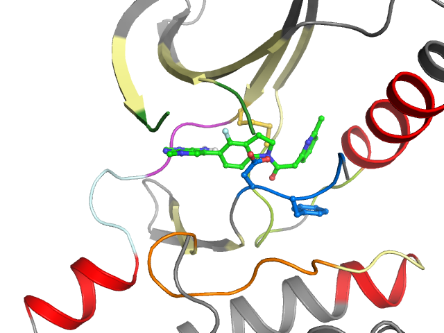 The orthosteric binding pocket
