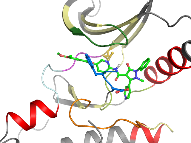The orthosteric binding pocket