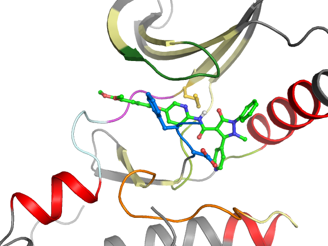 The orthosteric binding pocket