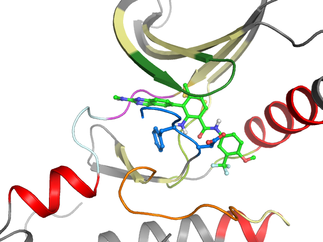The orthosteric binding pocket