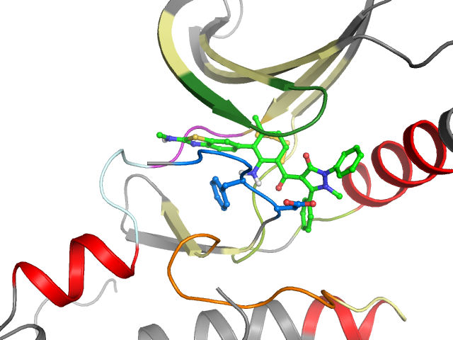 The orthosteric binding pocket
