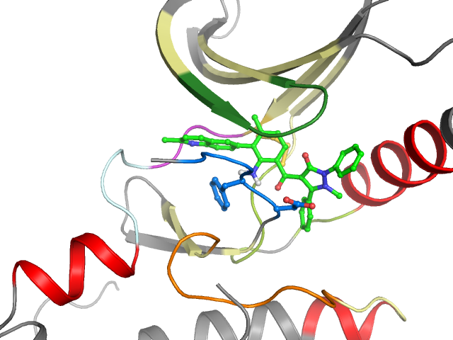 The orthosteric binding pocket
