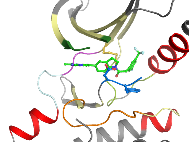 The orthosteric binding pocket