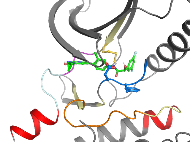 The orthosteric binding pocket