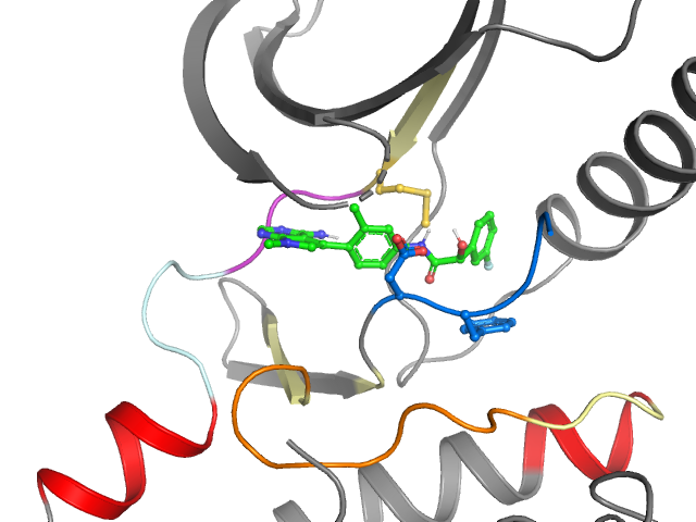 The orthosteric binding pocket
