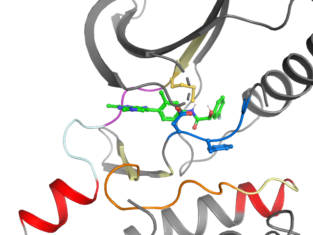 The orthosteric binding pocket