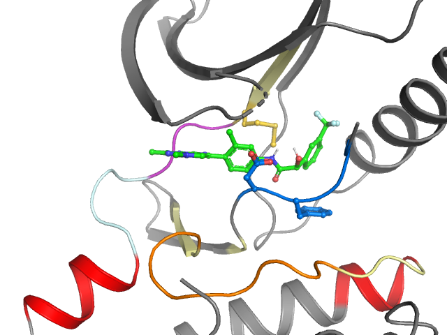 The orthosteric binding pocket