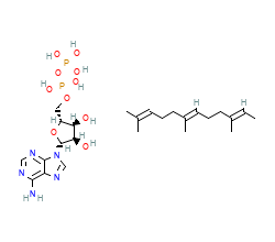 2D structure of the allostericligand