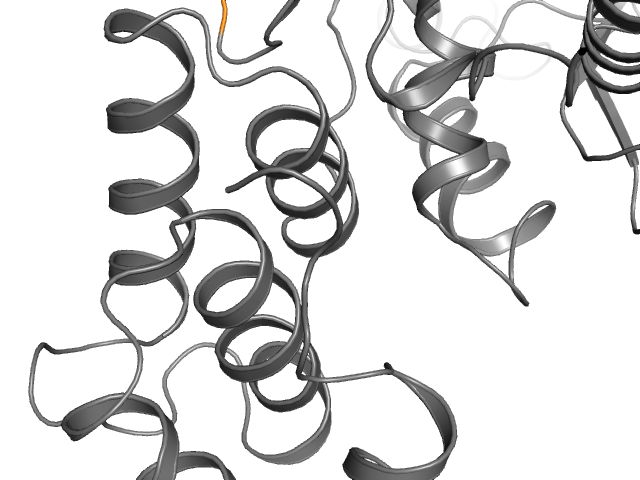 The orthosteric binding pocket