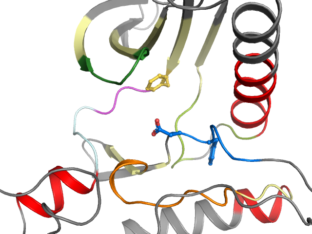 The orthosteric binding pocket